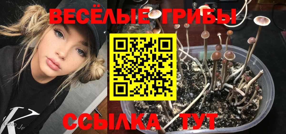Мирный  Галлюциногенные грибы мухоморы  Вход с VPN 